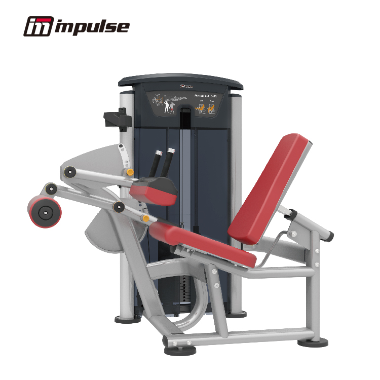 IT9506C SEATED LEG CURL