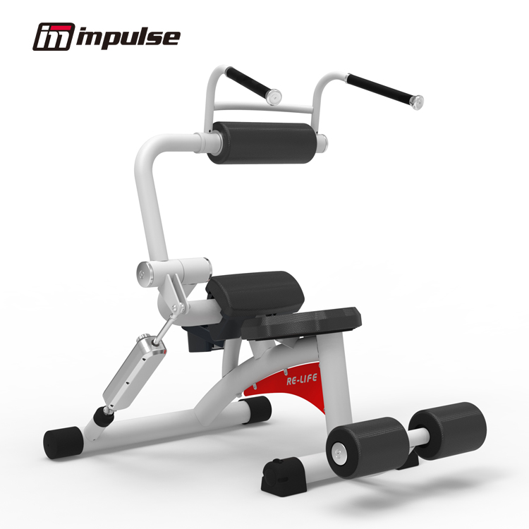 RL8107 Ab Crunch/Back extension