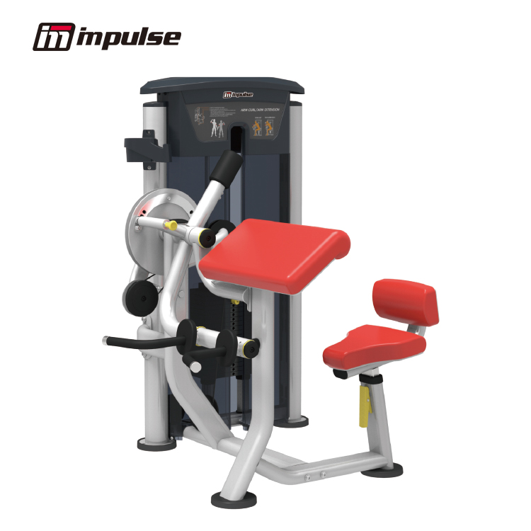 IT9533C BICEP CURLTRICEP EXTENSION