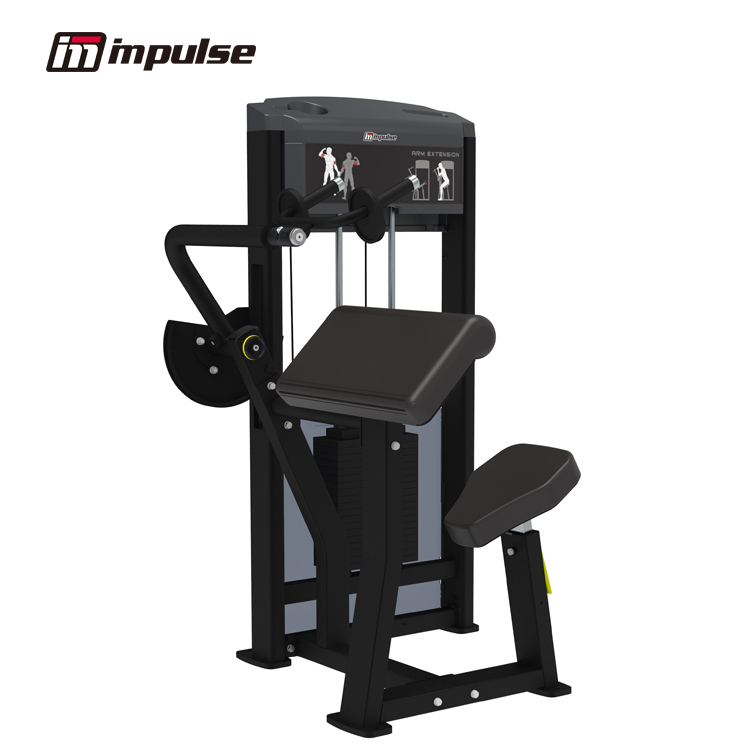 IF9323 ARM EXTENSION