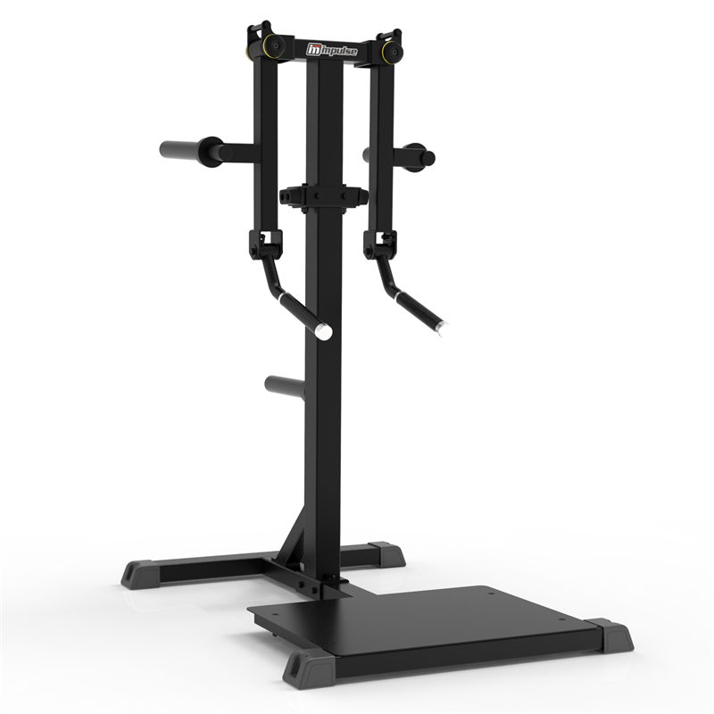IFP1103 Standing Lateral Raise