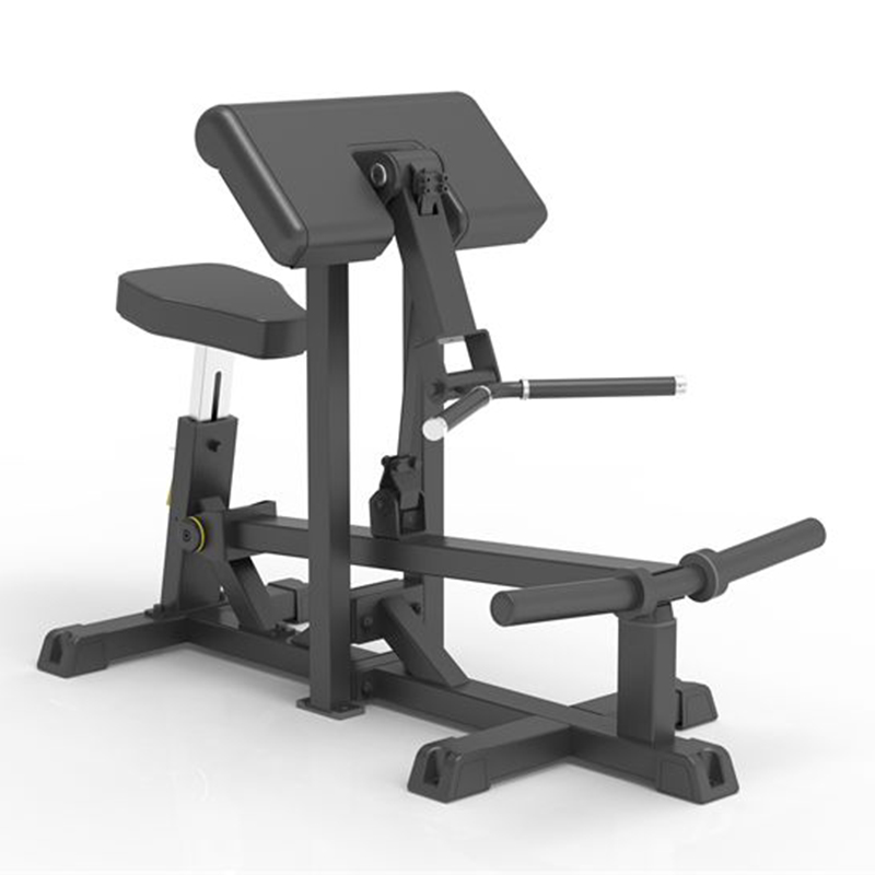IFP1501 Bicep Curl